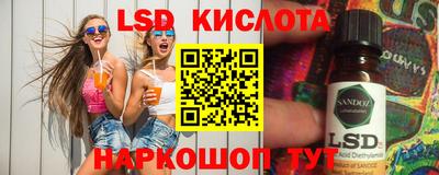стаф Будённовск