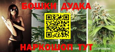 стаф Будённовск