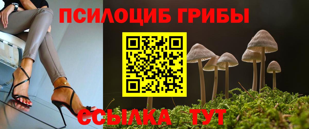 купить закладку  Галлюциногенные грибы MAGIC MUSHROOMS  Вход с VPN  Армавир 